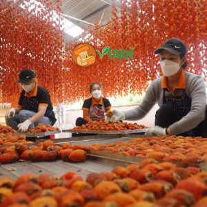 b2 - Vfarmnongsanviet