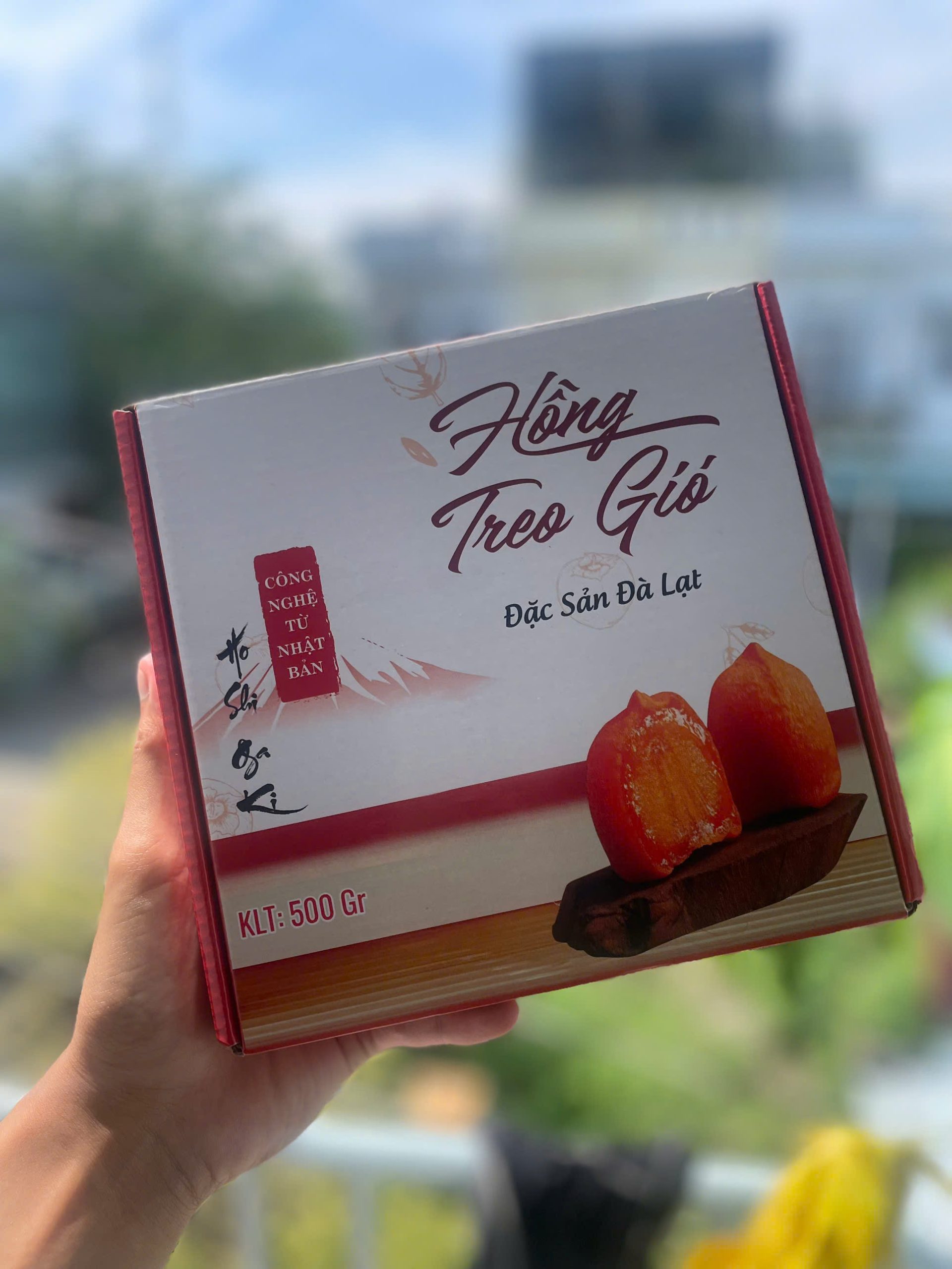 Hồng Treo Gió Là Gì? Bí Mật Loại Hồng Ngon Tại V Farm 3 hongtreogio scaled - Vfarmnongsanviet