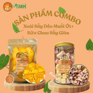 Combo Xoài Sấy Dẻo + Sữa Chua Sấy Giòn