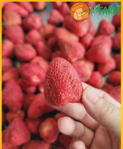 hình dâu tây sấy khô