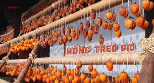 Hồng Treo Gió Là Gì? Từ A–Z Về Đặc Sản “Quốc Dân” Đang Gây Sốt 1 images 2 - Vfarmnongsanviet