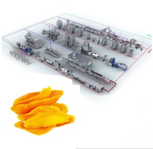 Quy trình sản xuất xoài sấy dẻo nhà V-farm