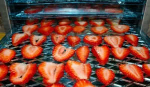 Dâu tây sấy khô giòn trở thành xu hướng ẩm thực mới nhờ vị ngon tự nhiên dễ ăn tiện lợi