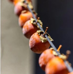 z7317149451753 67a1f935a43bbf8283395c6bec5760f7 - Vfarmnongsanviet